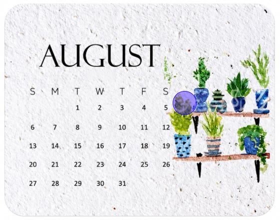 ๐ฑ 2027 Plantable Seed Paper Calendar โ Use It, Then Grow It