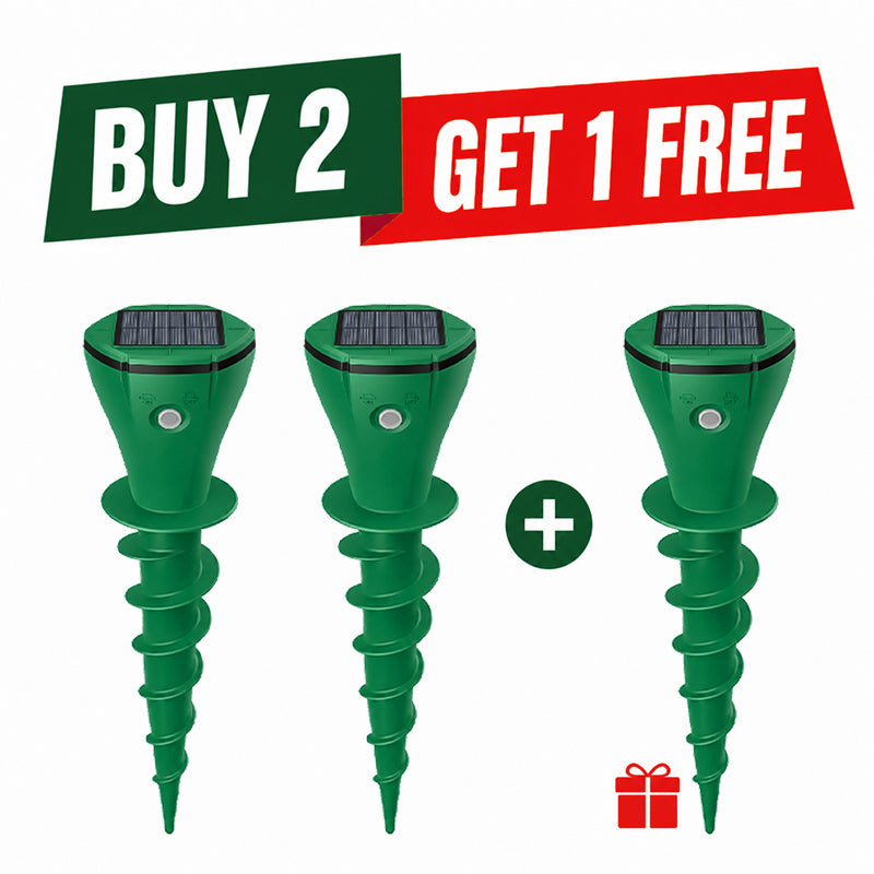 Buy 2 Get 1 Free