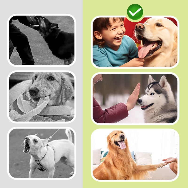 MiaHome™ 🐶Ultrasonic Dog Repeller for Easy Barking Troubles! (Pro)